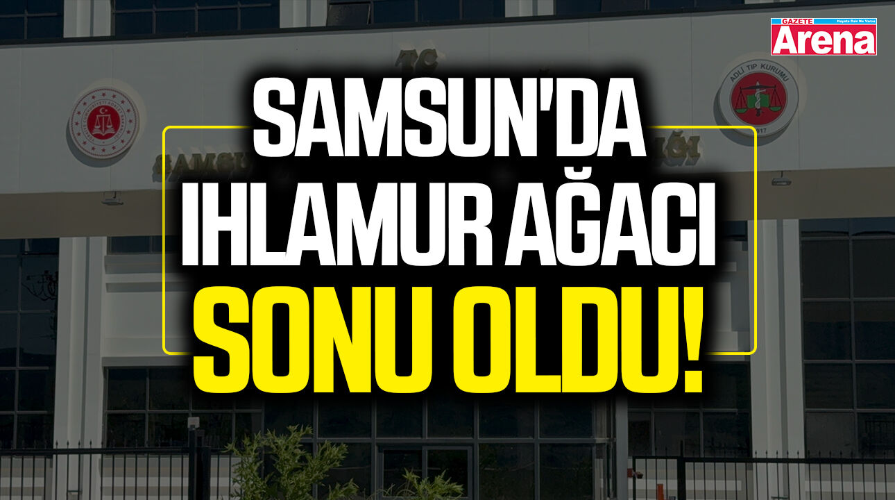 Samsun'da ıhlamur ağacı sonu oldu!