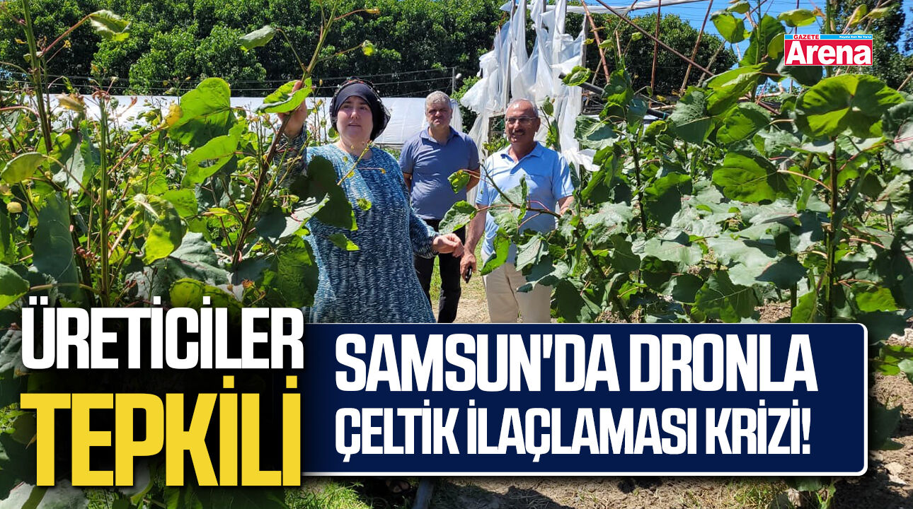 Samsun'da dronla çeltik ilaçlaması krizi! Üreticiler tepkili