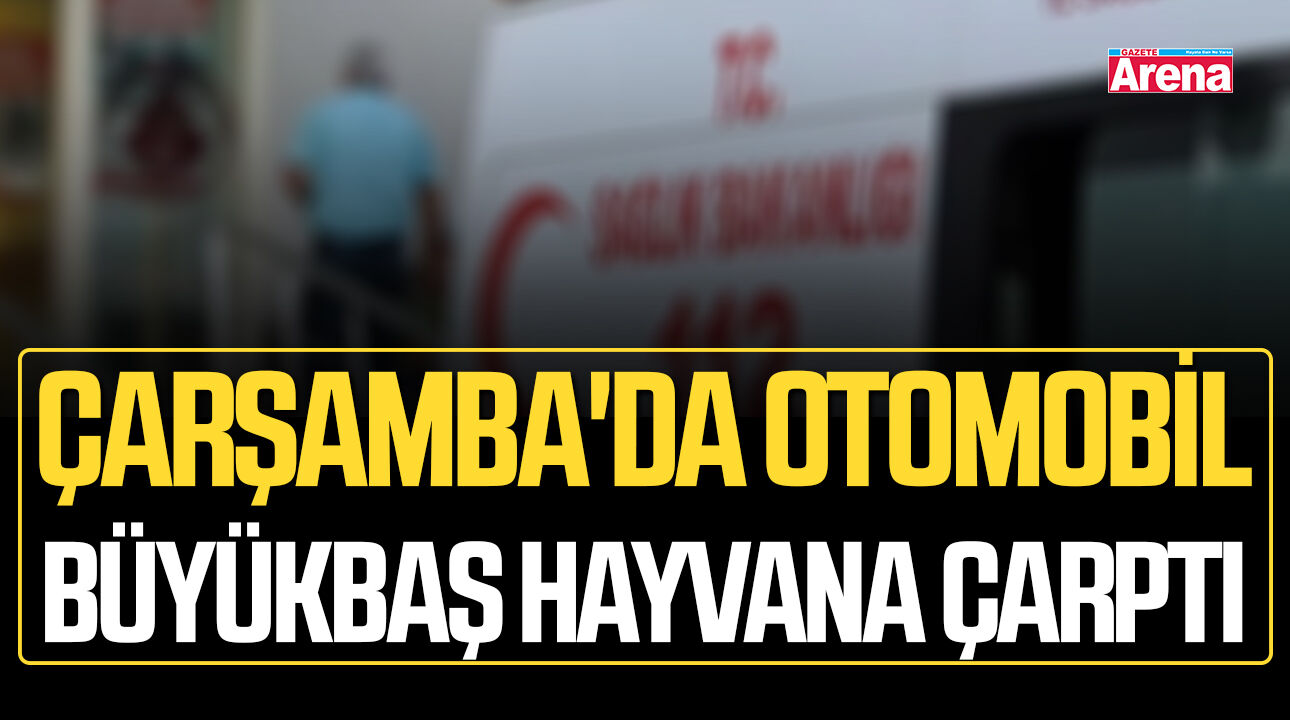 Çarşamba'da otomobil büyükbaş hayvana çarptı!