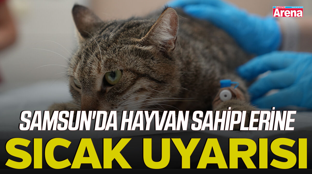 Samsun'da hayvan sahiplerine sıcak uyarısı