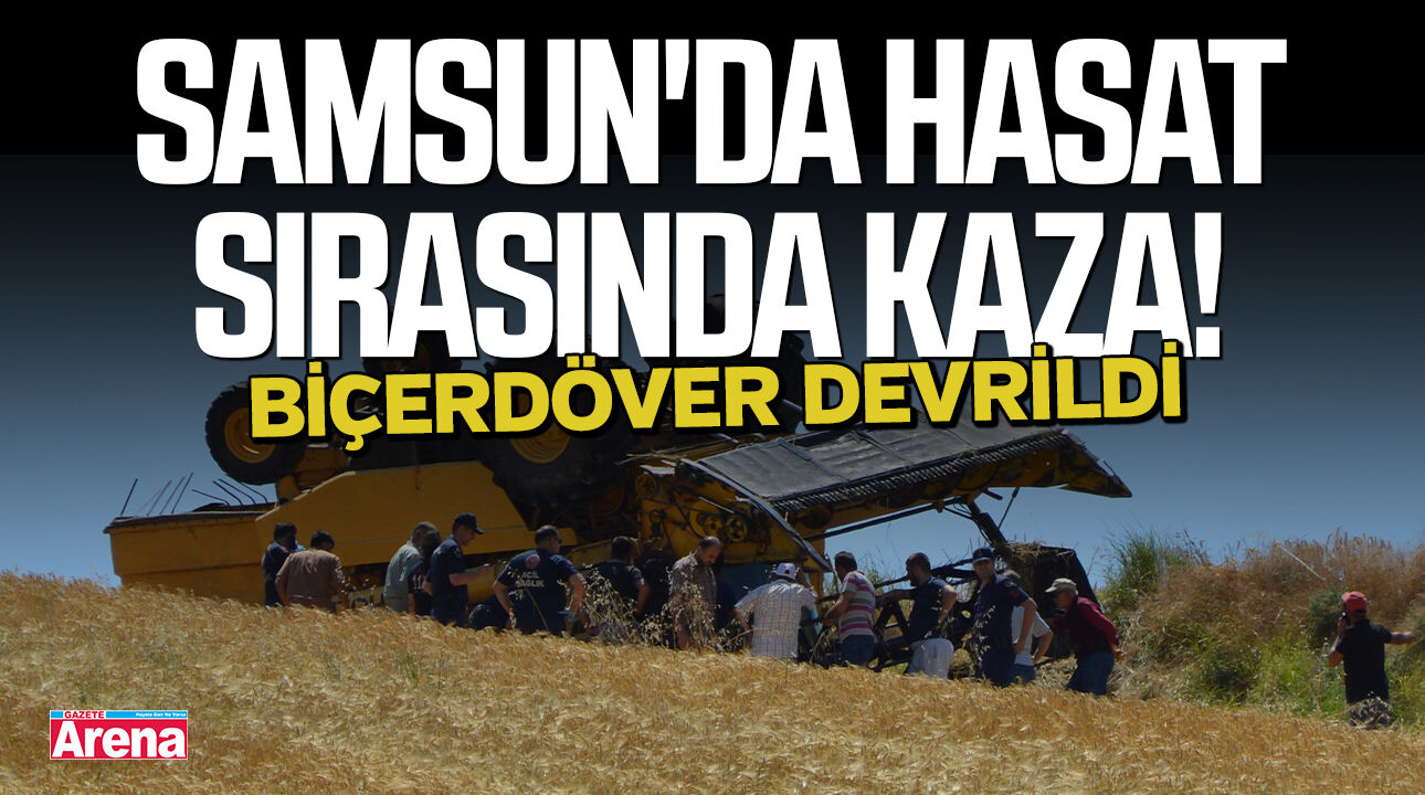 Samsun'da hasat sırasında kaza! Biçerdöver devrildi