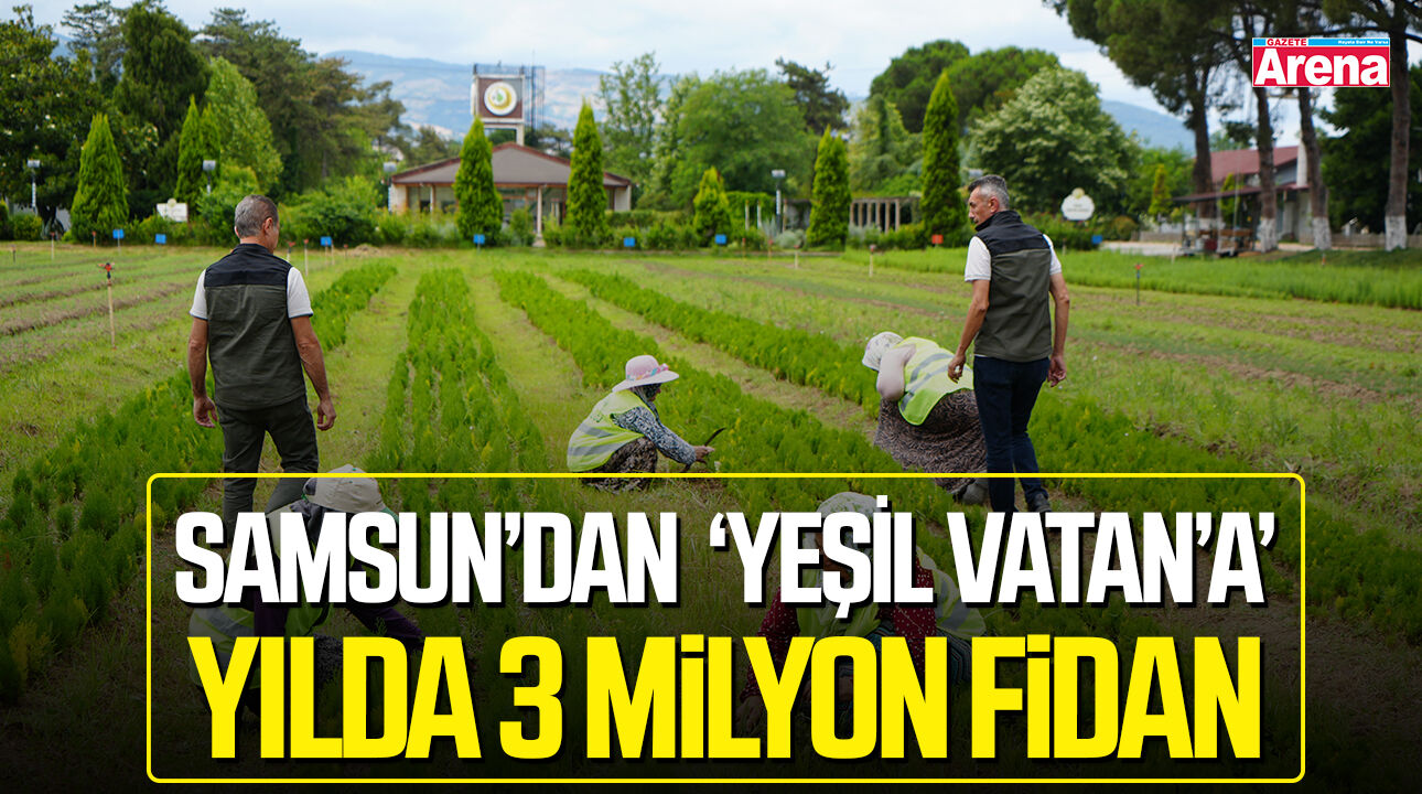 Samsun'dan 'Yeşil Vatan'a yılda 3 milyon fidan