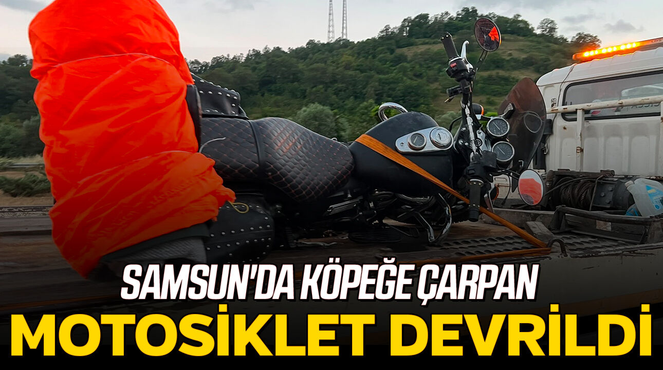 Samsun'da köpeğe çarpan motosiklet devrildi!