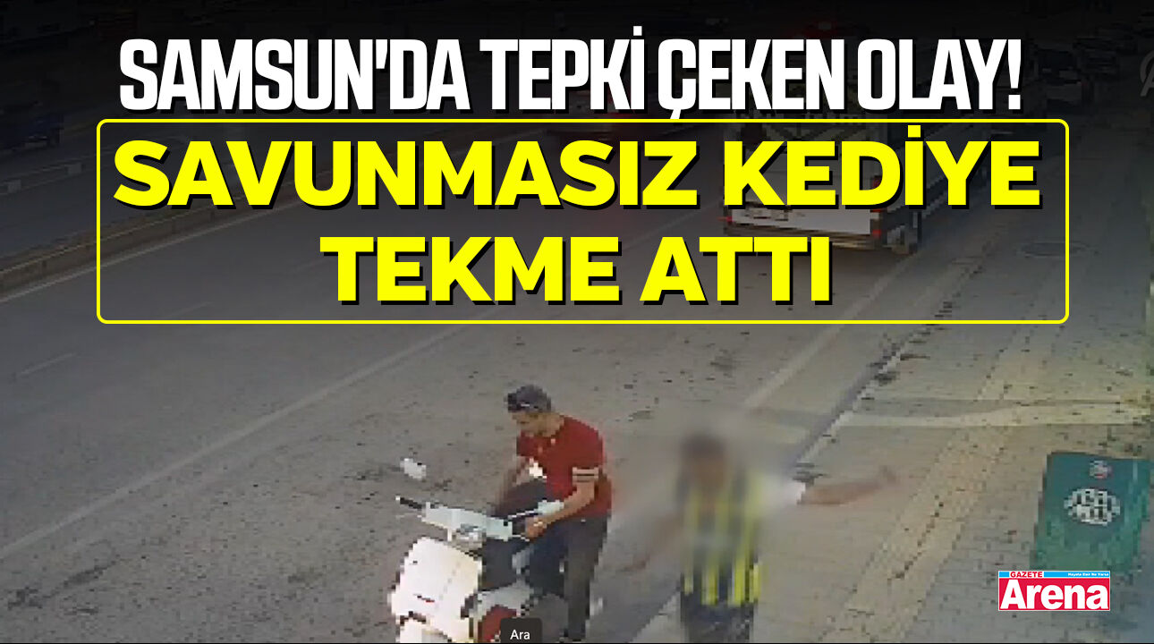 Samsun'da tepki çeken olay! Savunmasız kediye tekme attı