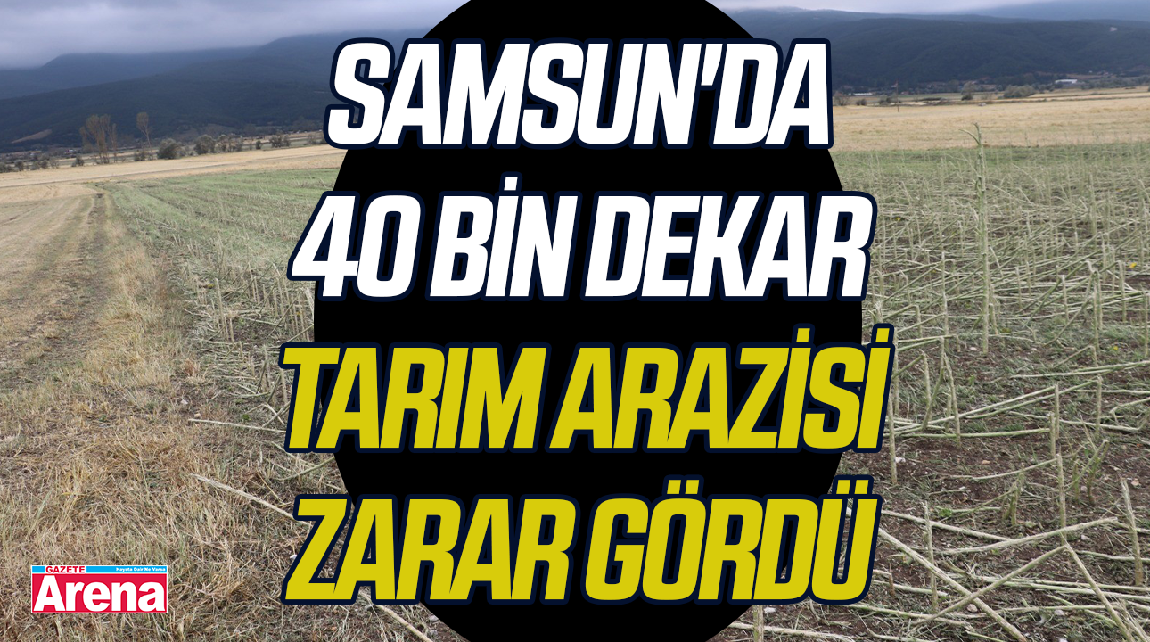 Samsun'da 40 bin dekar tarım arazisi zarar gördü