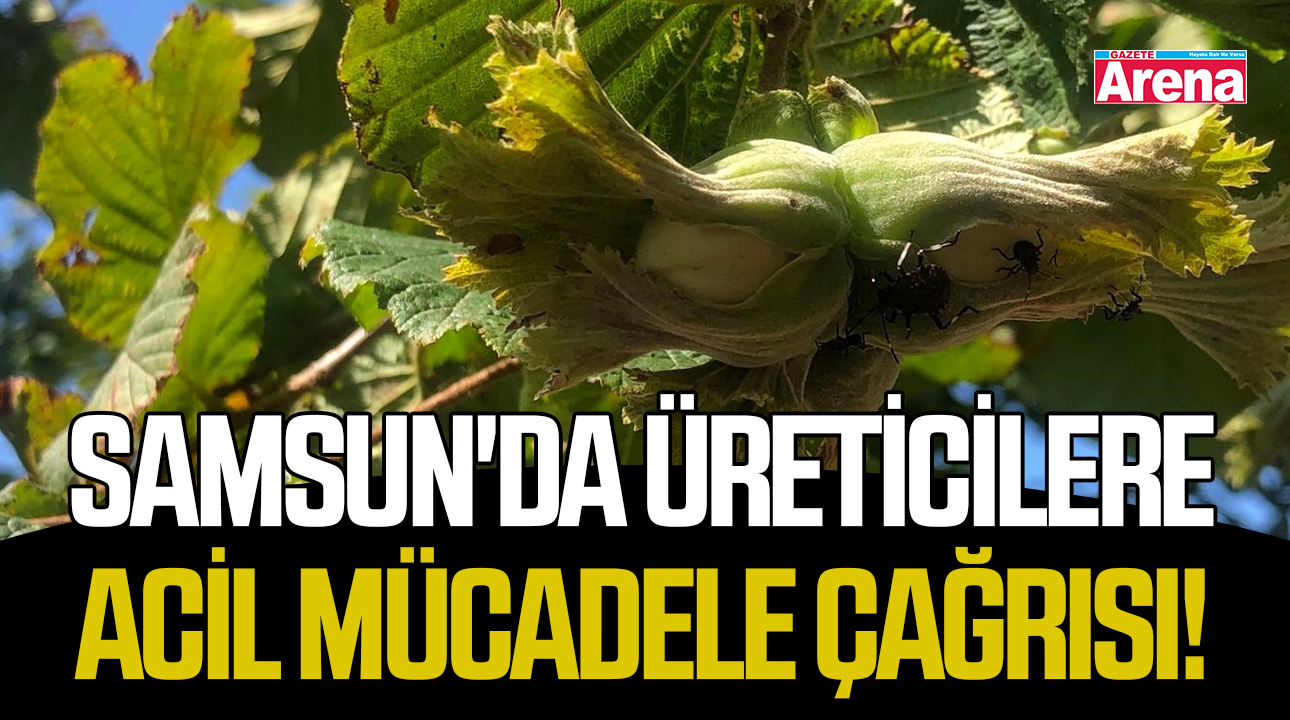 Samsun'da üreticilere acil mücadele çağrısı!