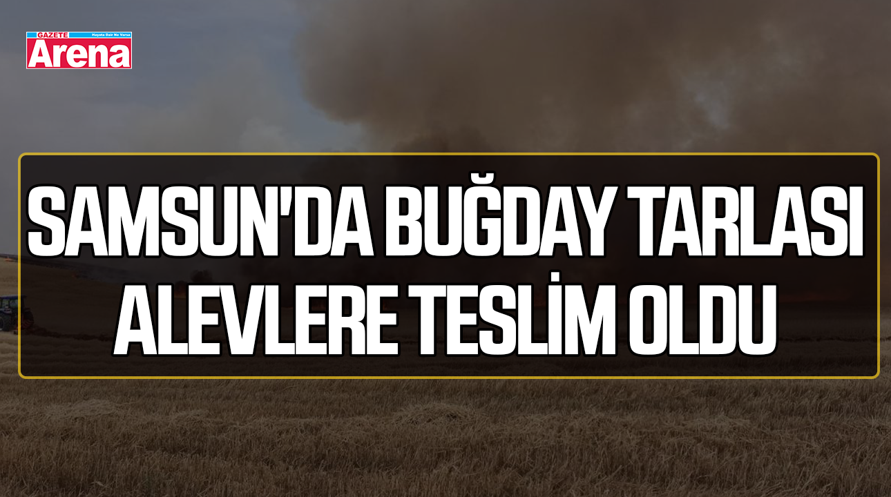 Samsun'da 300 dönümlük buğday tarlası alevlere teslim oldu