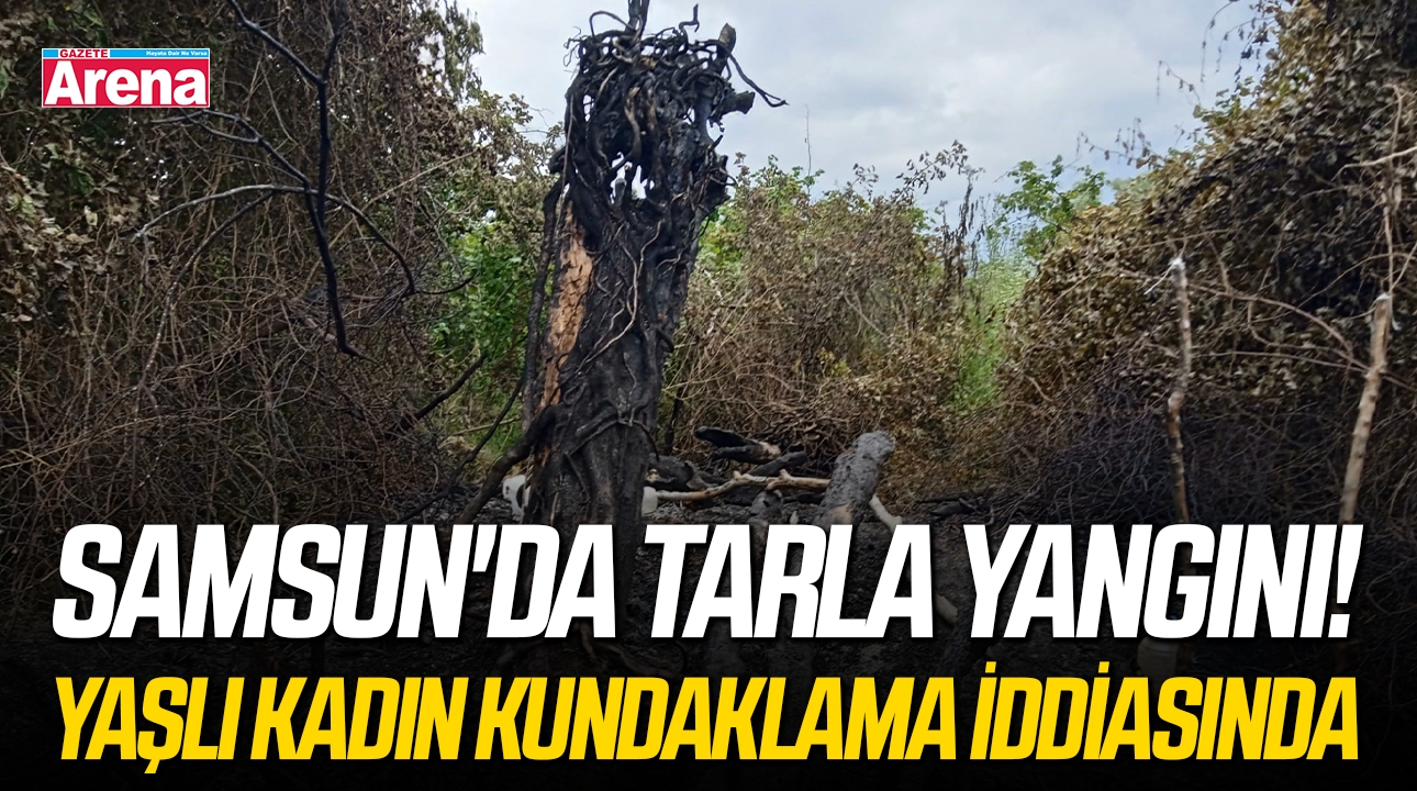 Samsun'da tarla yangını! Yaşlı kadın kundaklama iddiasında