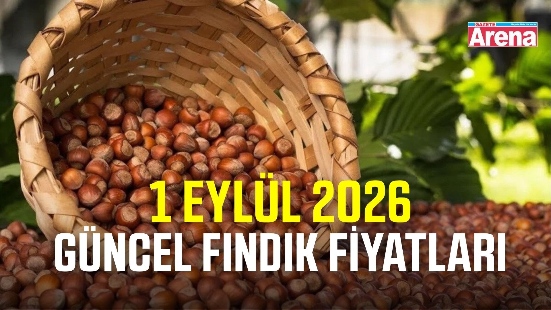 1 Eylül 2026 güncel fındık fiyatları