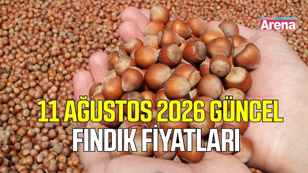 11 Ağustos 2026 güncel fındık fiyatları