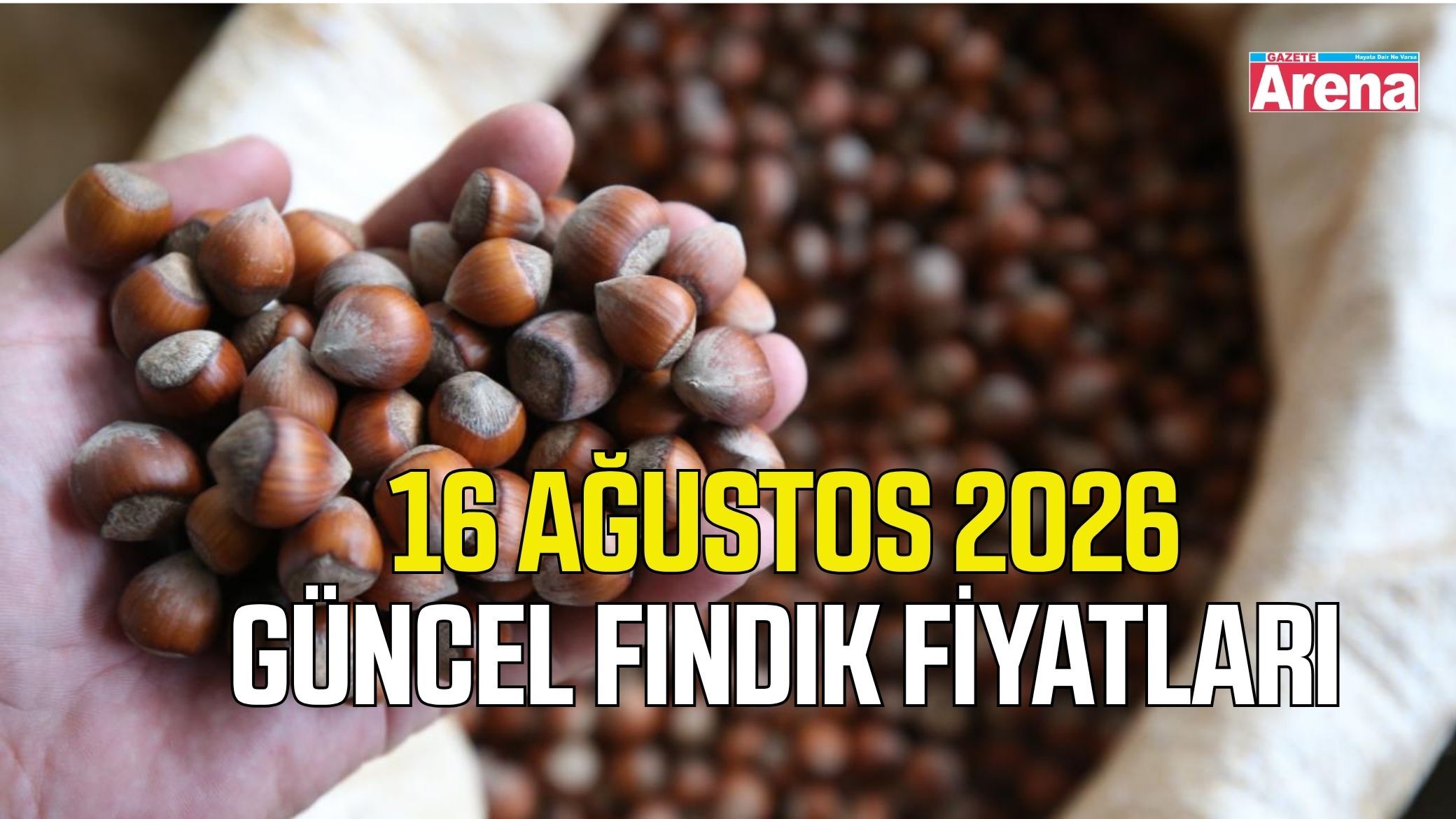 16 Ağustos 2026 güncel fındık fiyatları