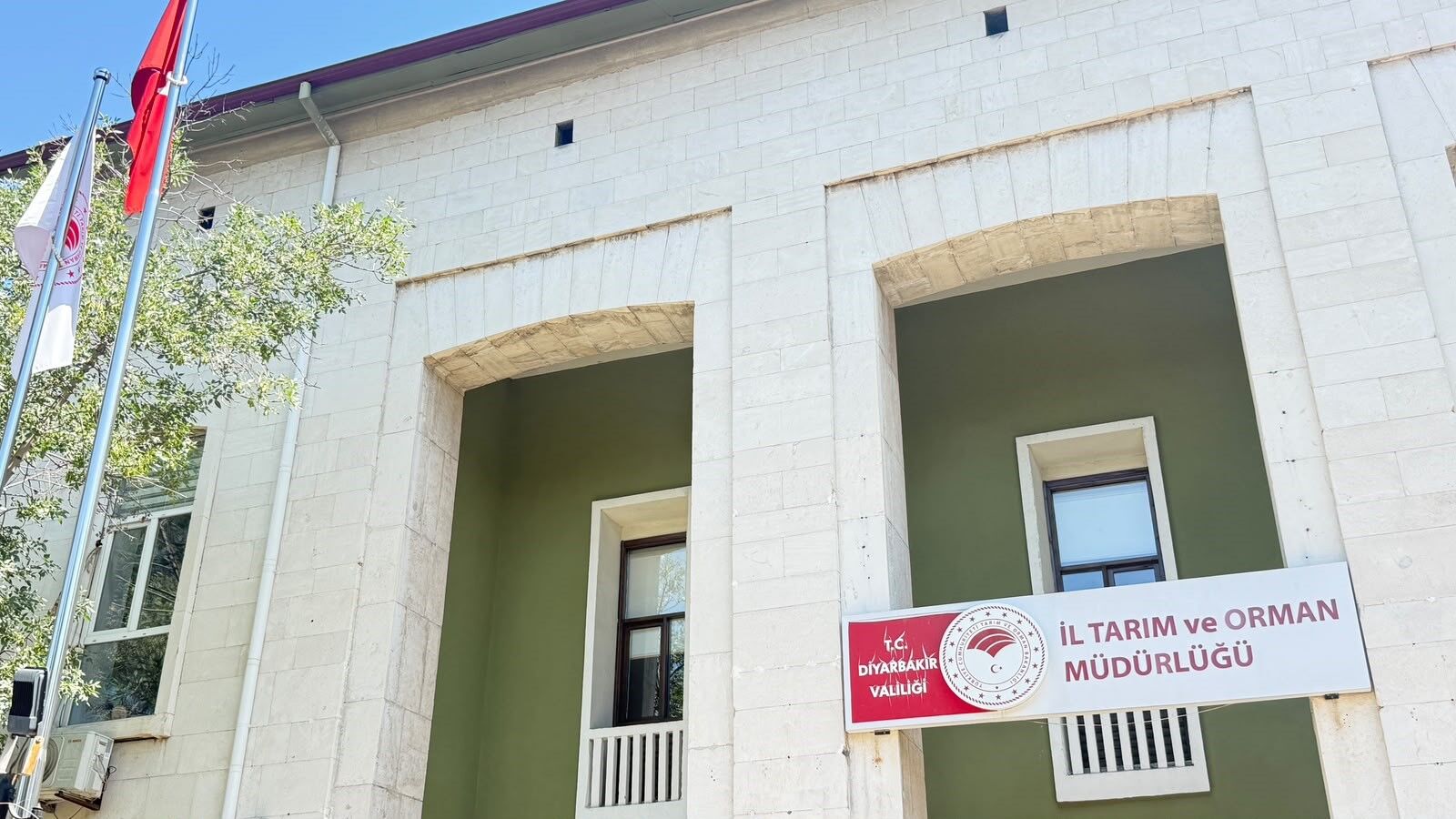 4 Yaşındaki Çocuğu Isıran Kedi Kuduz Çıktı (3)