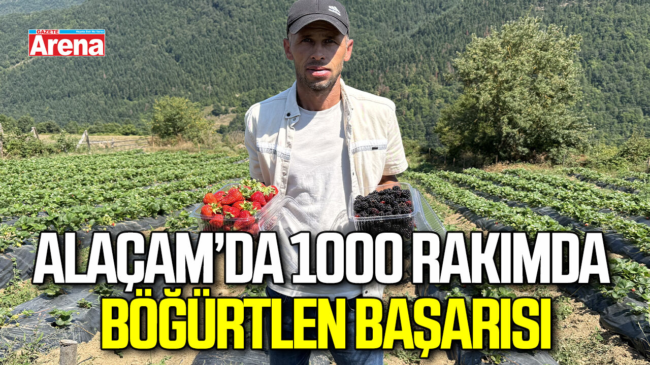 Alaçam’da 1000 rakımda böğürtlen başarısı
