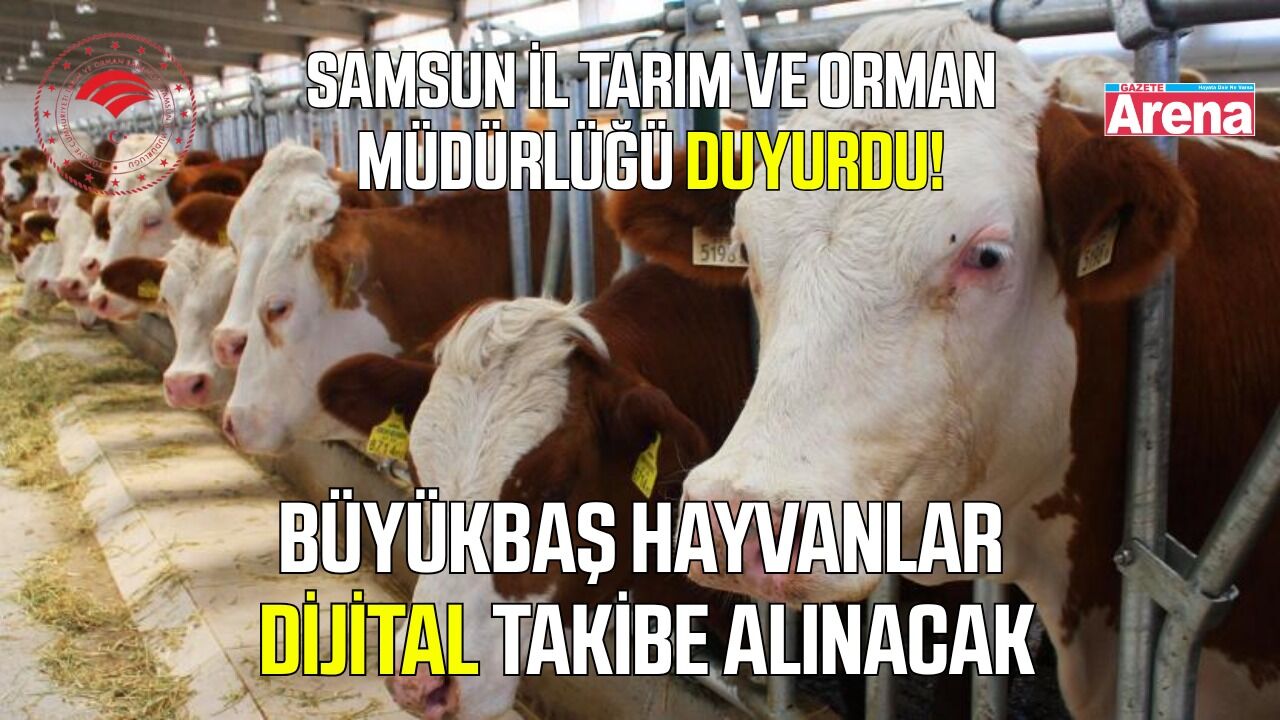 Büyükbaş hayvanlar artık dijital olarak takip edilebilecek