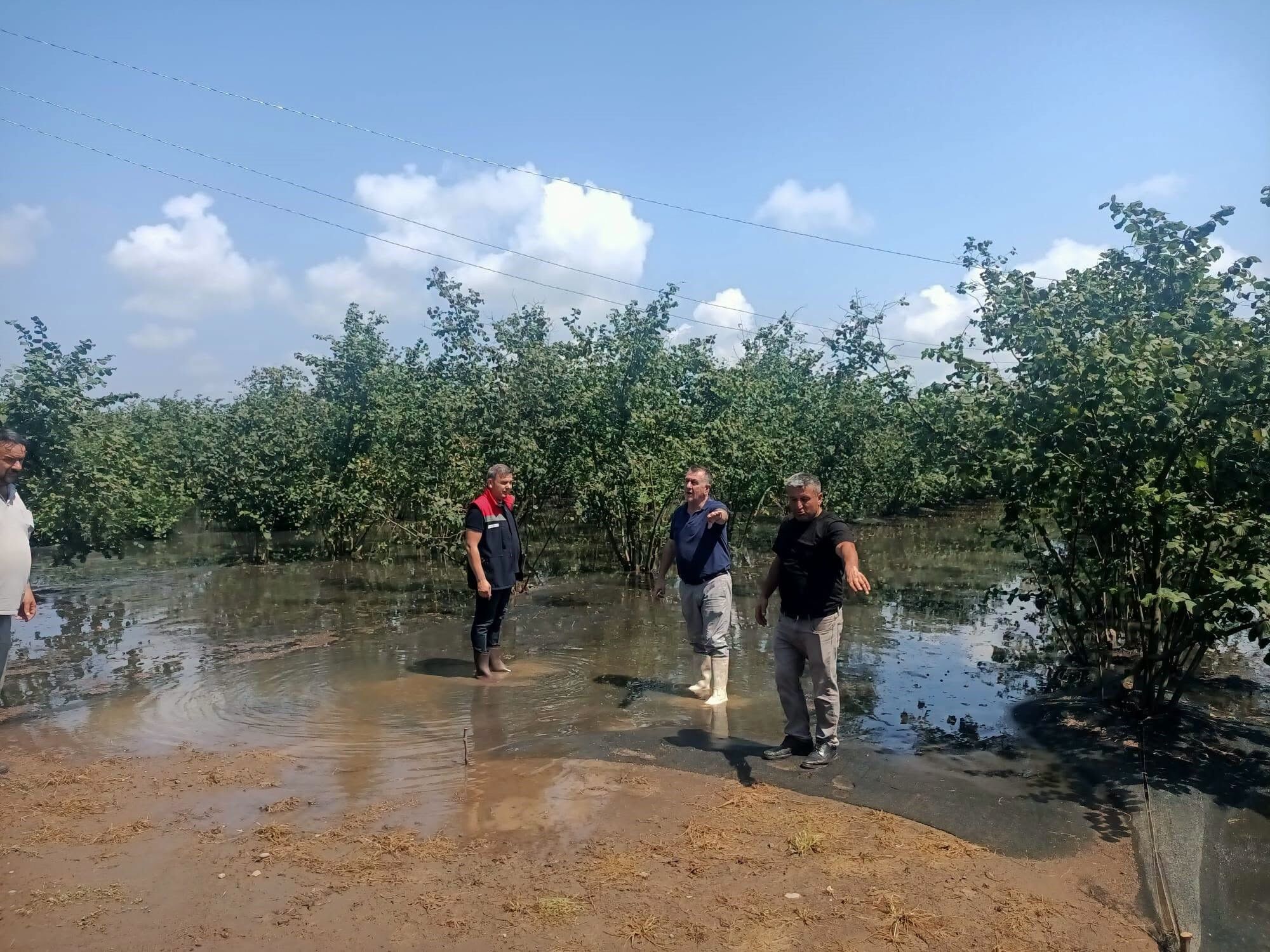Çarşamba’da Yağış Sonrası Tarım Alanlarında Hasar Tespiti Sürüyor (4)
