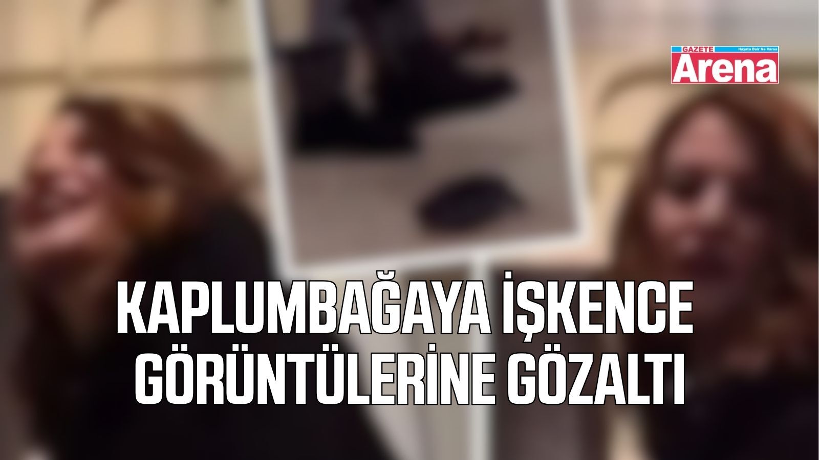 Kaplumbağayı ayağıyla öldüren kadın gözaltına alındı