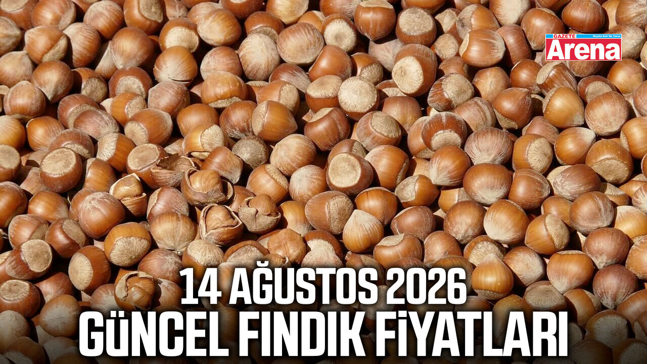 14 Ağustos 2026 güncel fındık fiyatları