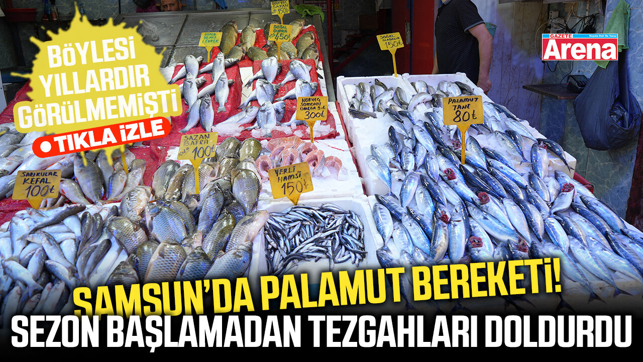 Samsun’da palamut bereketi göz dolduracak!