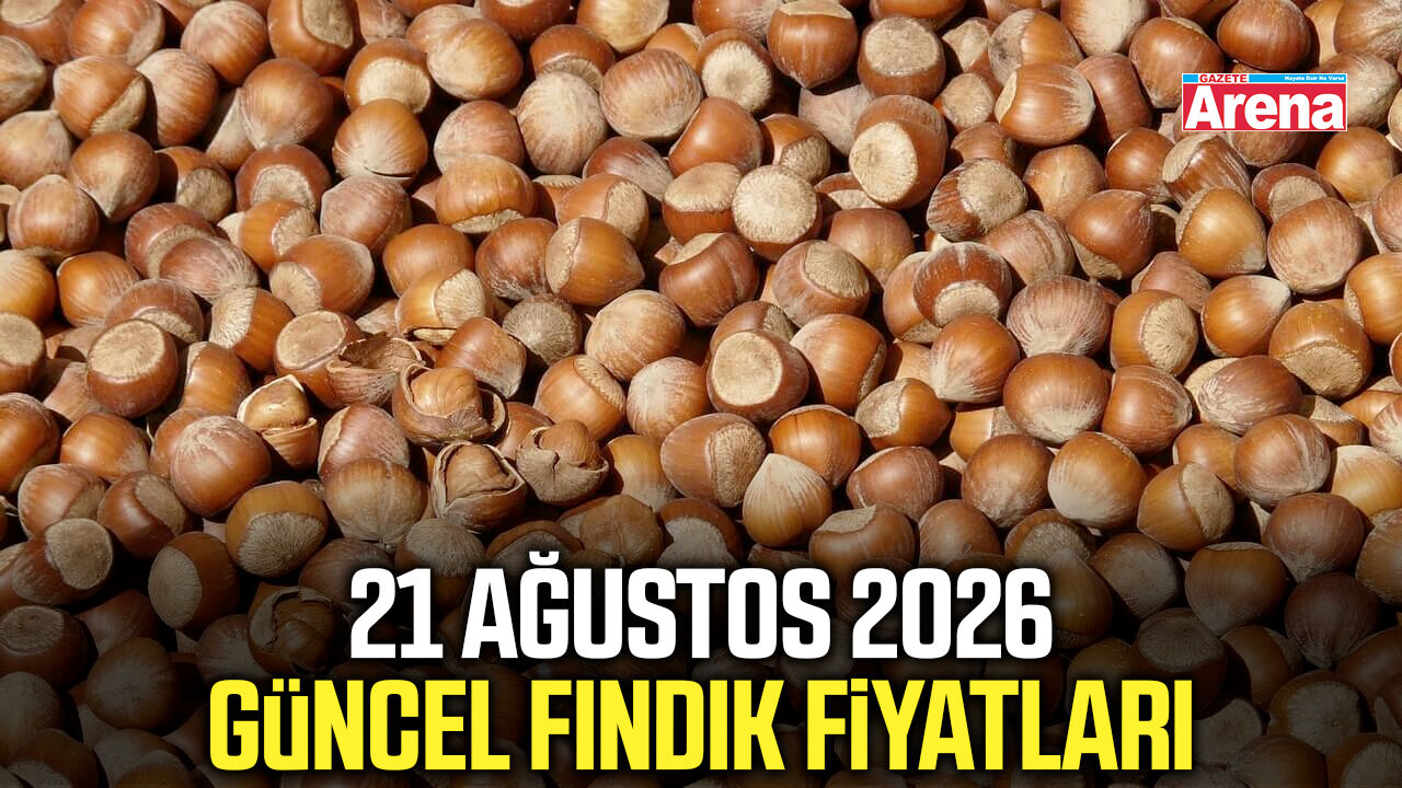 21 Ağustos 2026 güncel fındık fiyatları