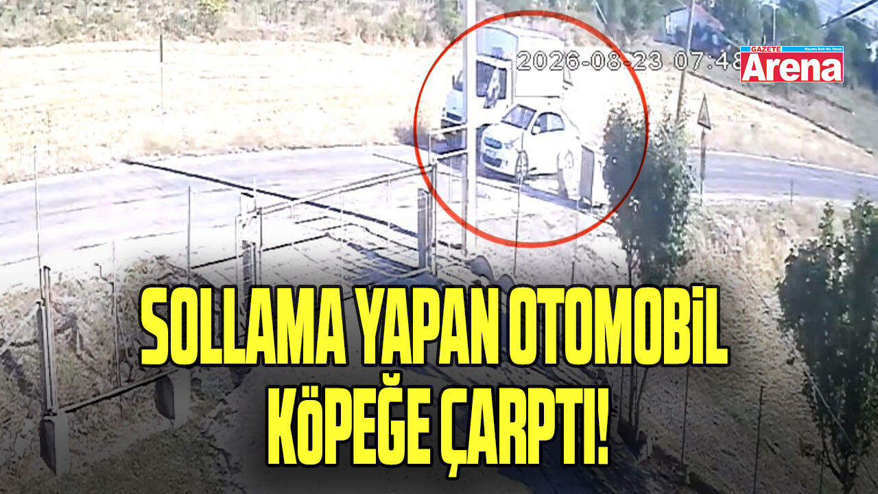 Sollama yapan otomobil köpeğe çarptı