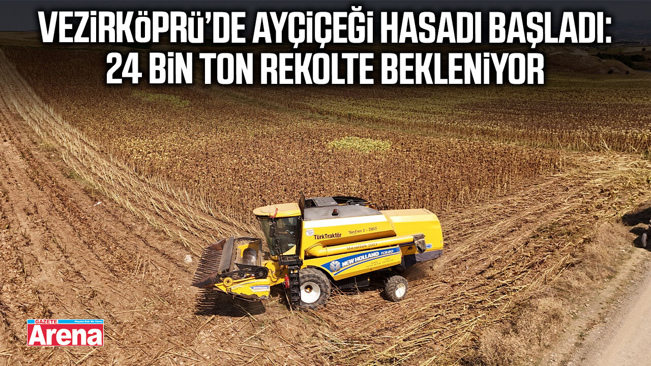 Vezirköprü’de ayçiçeği hasadı başladı