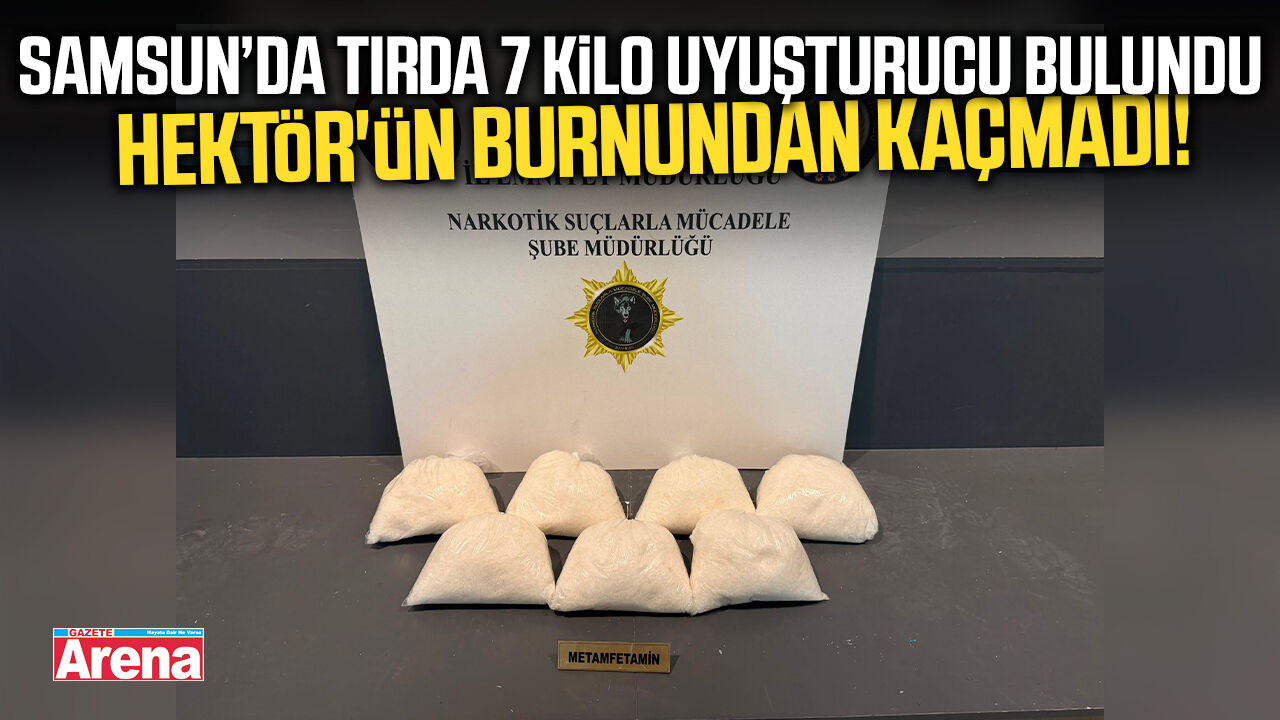 Hektör'ün burnundan kaçmadı! Tırda 7 kilo uyuşturucu bulundu