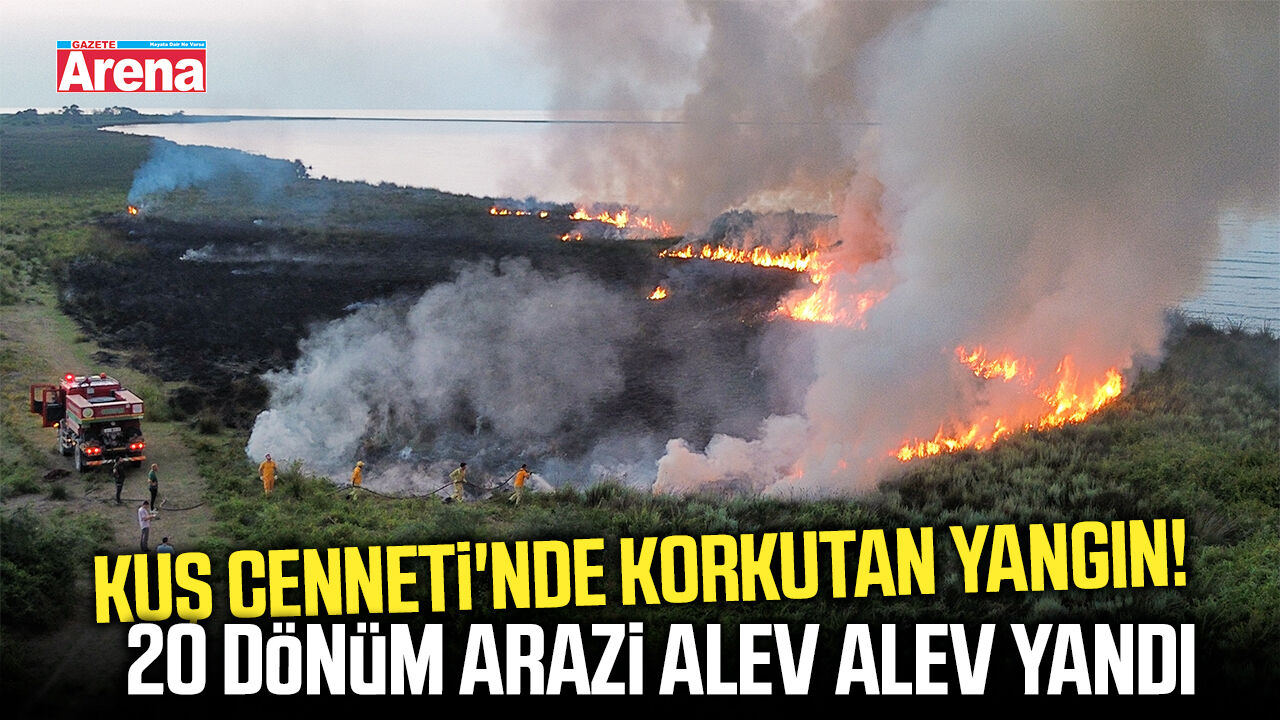 Kızılırmak Deltası'nda korkutan sazlık yangını!