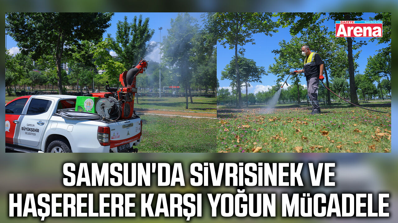 Samsun'da sivrisinek ve haşerelere karşı yoğun mücadele