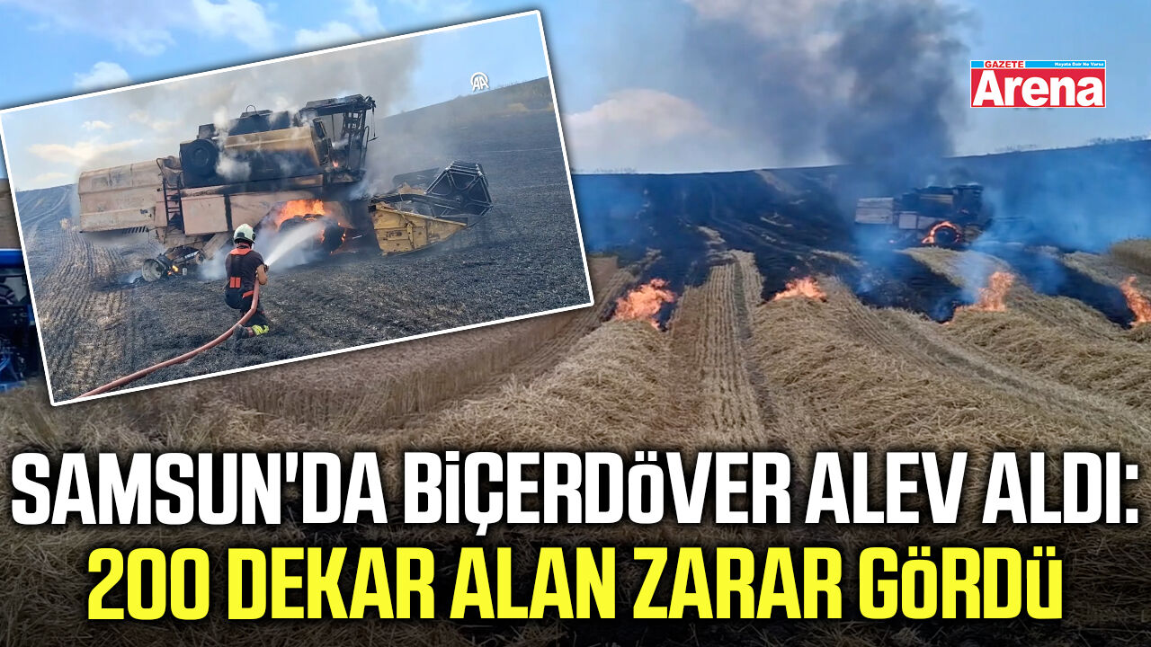 Samsun'da biçerdöver alev aldı: 200 dekar alan zarar gördü