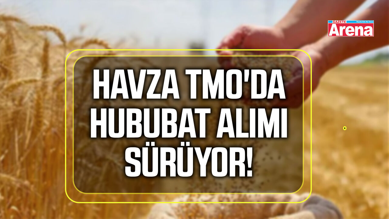Havza TMO'da hububat alımları sürüyor