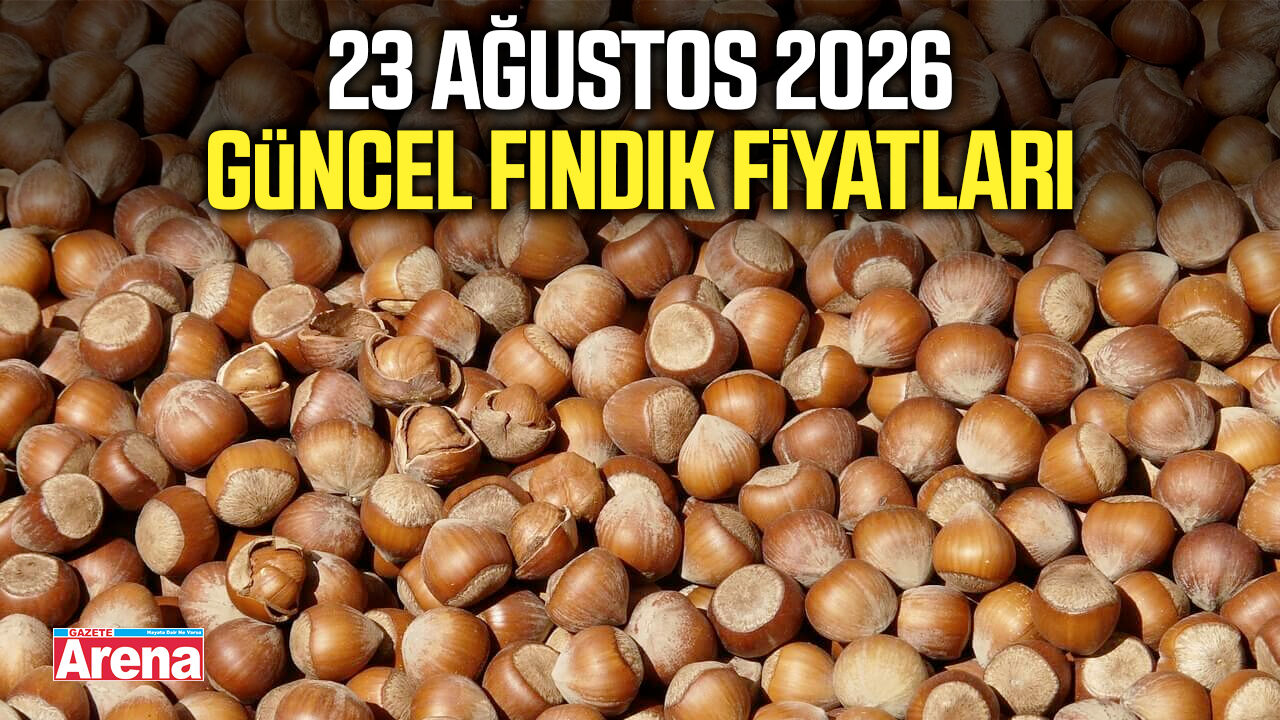 23 Ağustos 2026 güncel fındık fiyatları