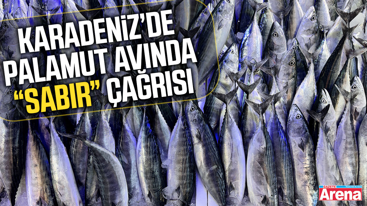 Karadeniz’de palamut avında sabır çağrısı