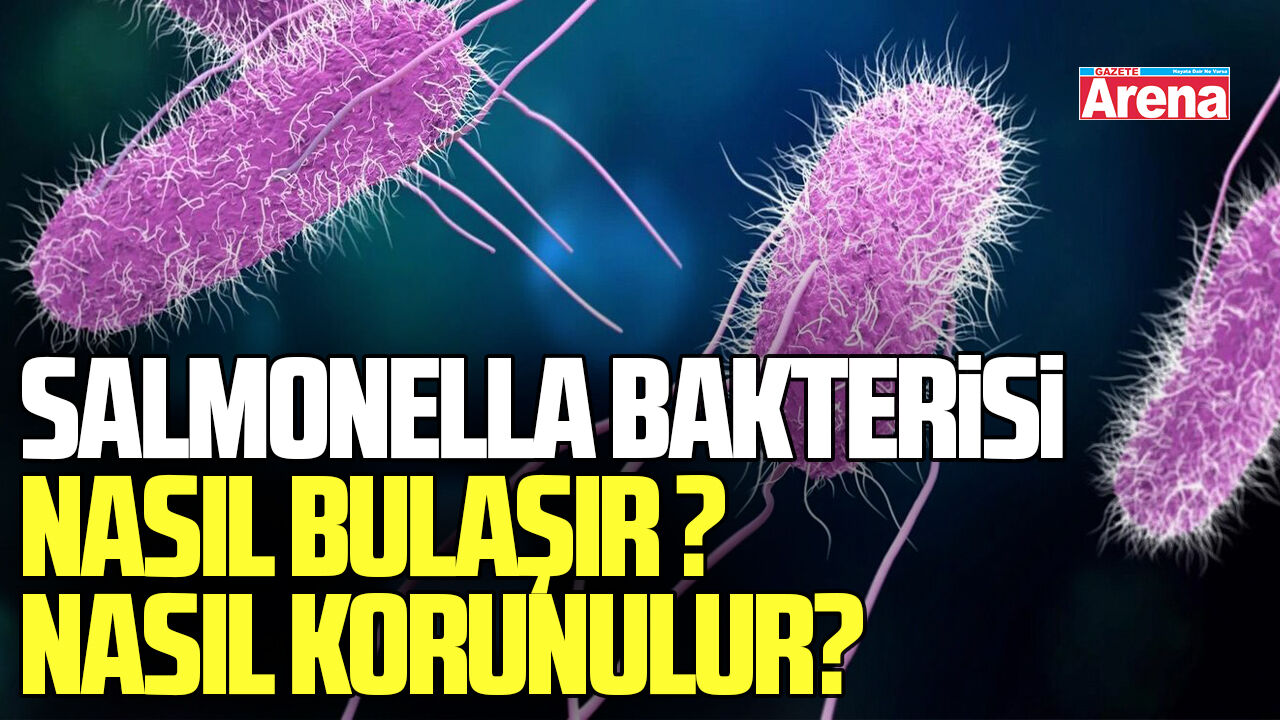 Salmonella bakterisi nedir, nasıl bulaşır ve nasıl korunulur?