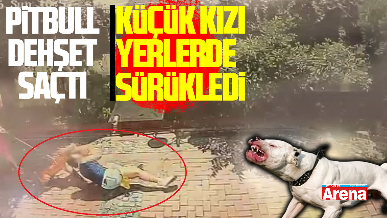 Samsun’da pitbull dehşeti: Kızı yerden yere vurdu!