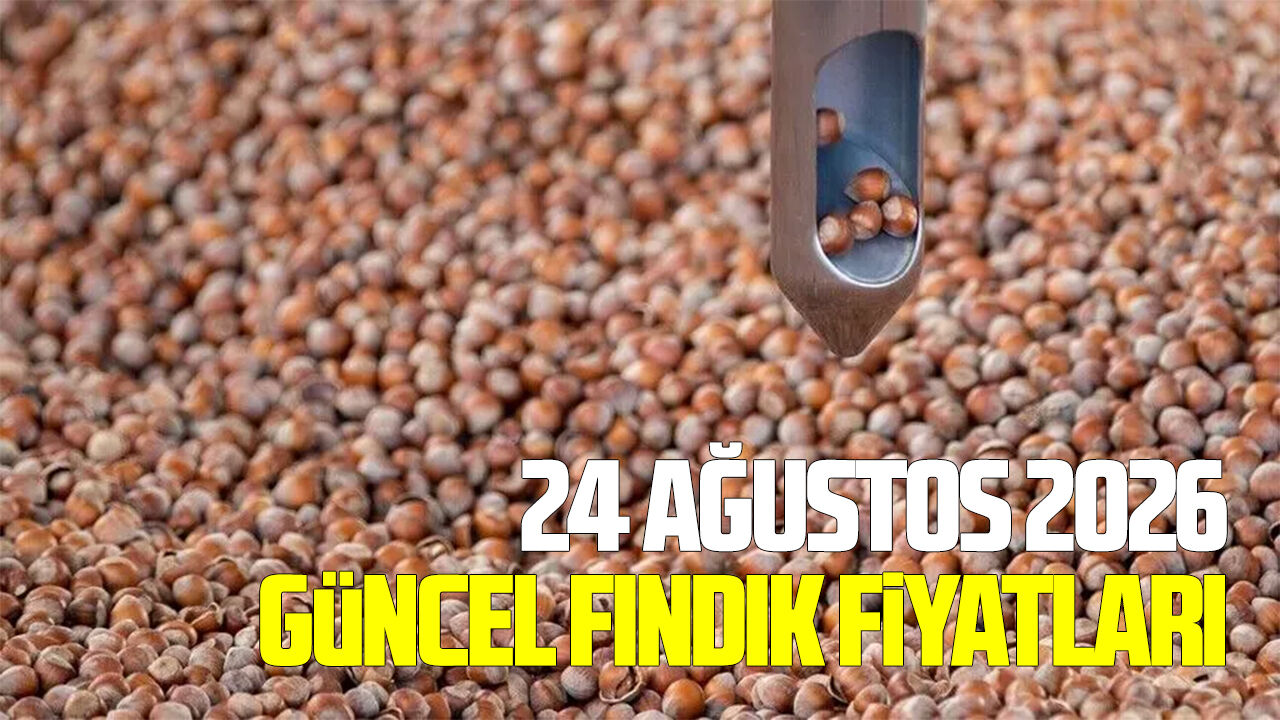 24 Ağustos 2026 güncel fındık fiyatları