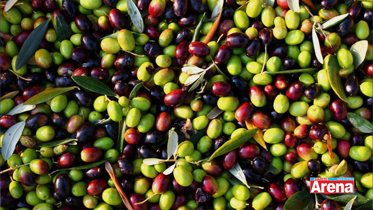 Baktat Zeytin'e mahkemeden kritik karar! 1 yıllık kesin mühlet
