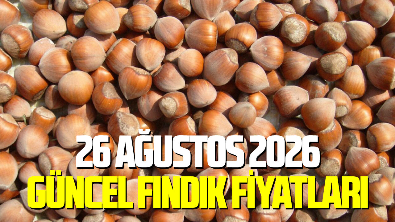26 Ağustos 2026 güncel fındık fiyatları