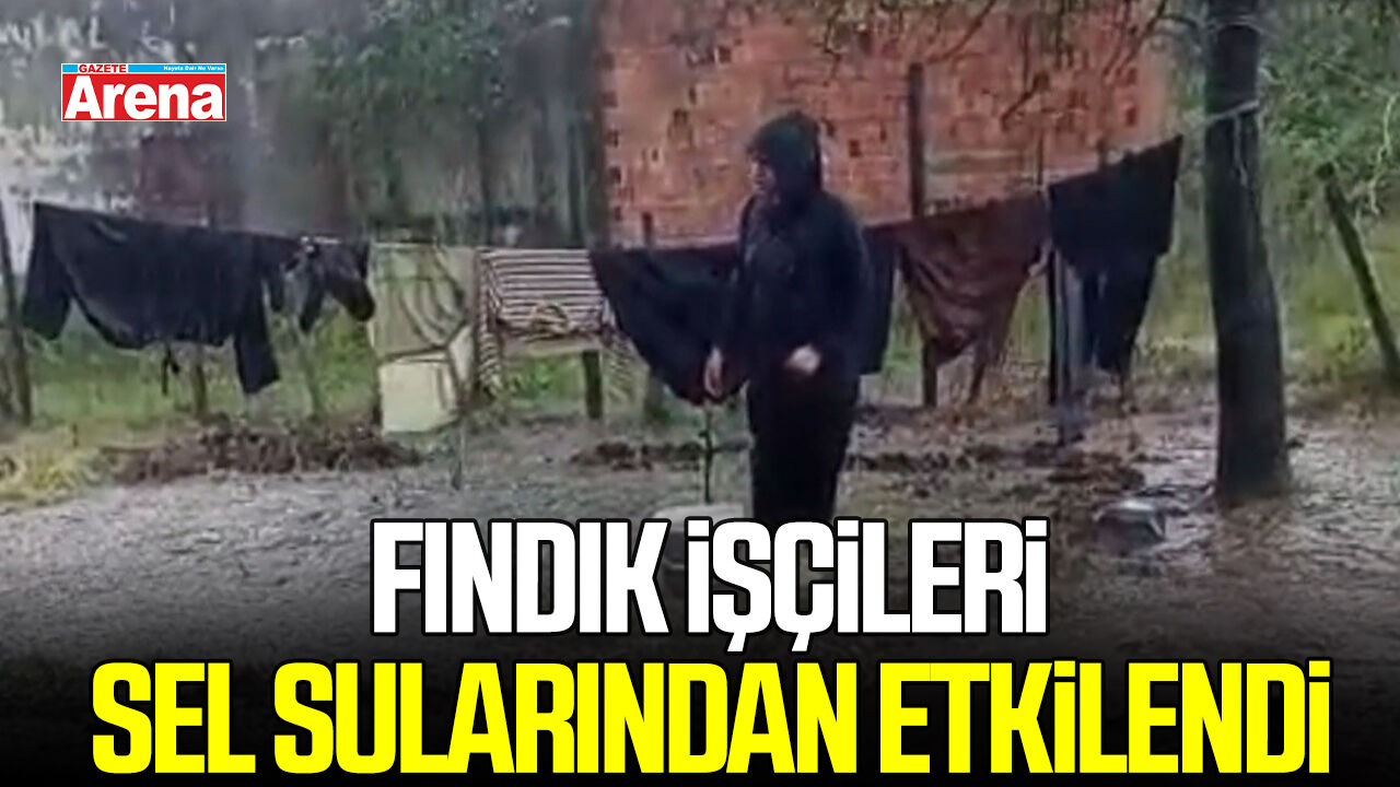 Samsun'da fındık işçileri sel sularından etkilendi