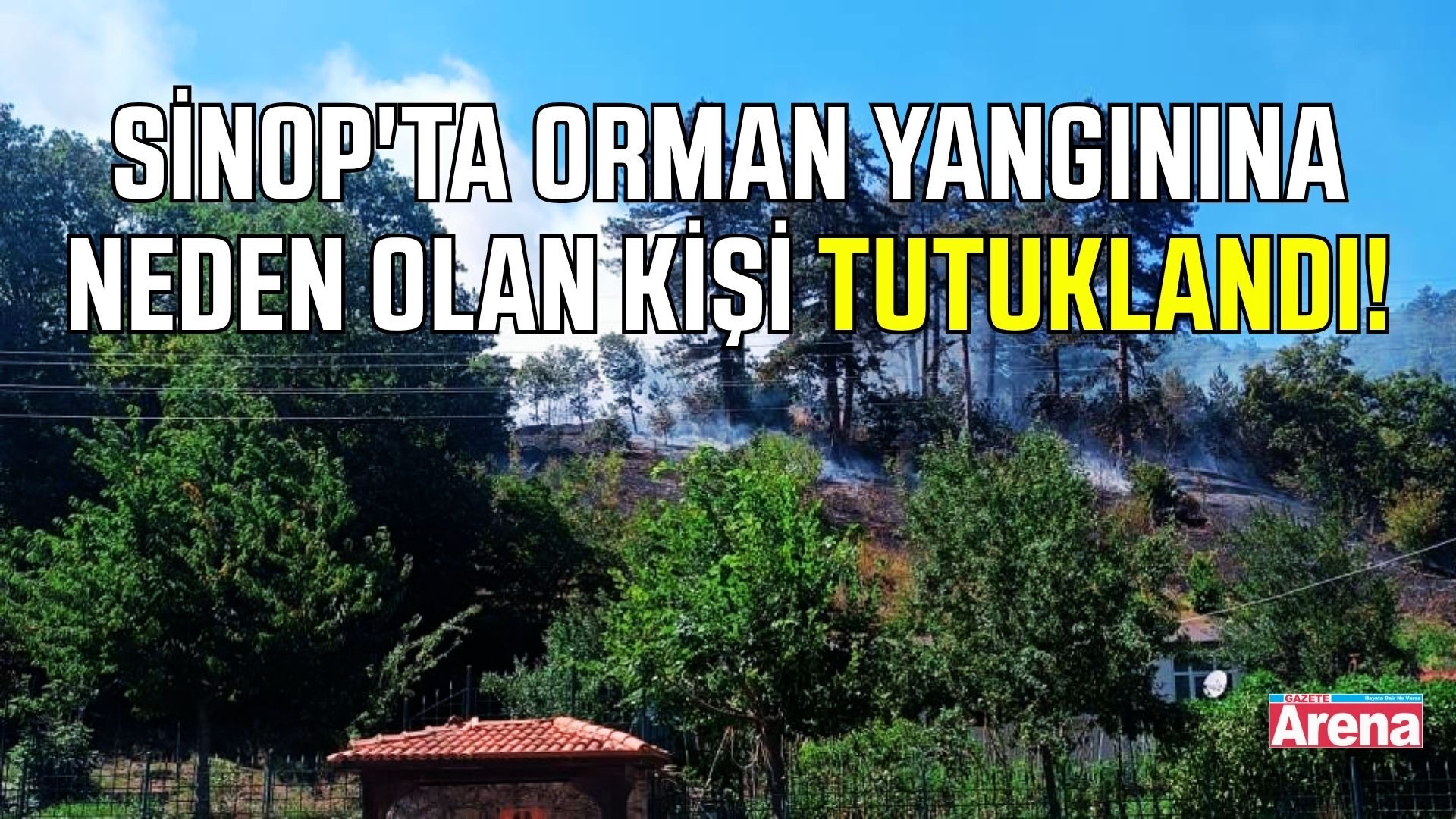 Sinop'ta ormanın yanmasına sebep olan kişi tutuklandı