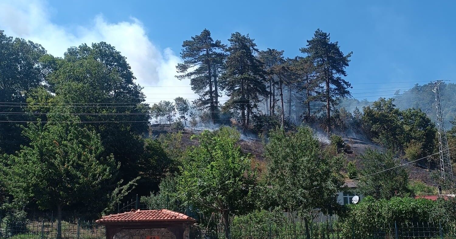 Sinop'ta Ormanın Yanmasına Sebep Olan Kişi Tutuklandı (1)