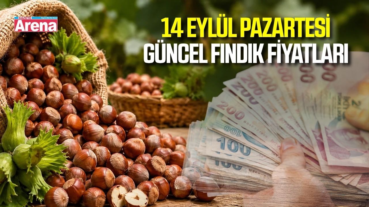 14 Eylül 2026 güncel fındık fiyatları