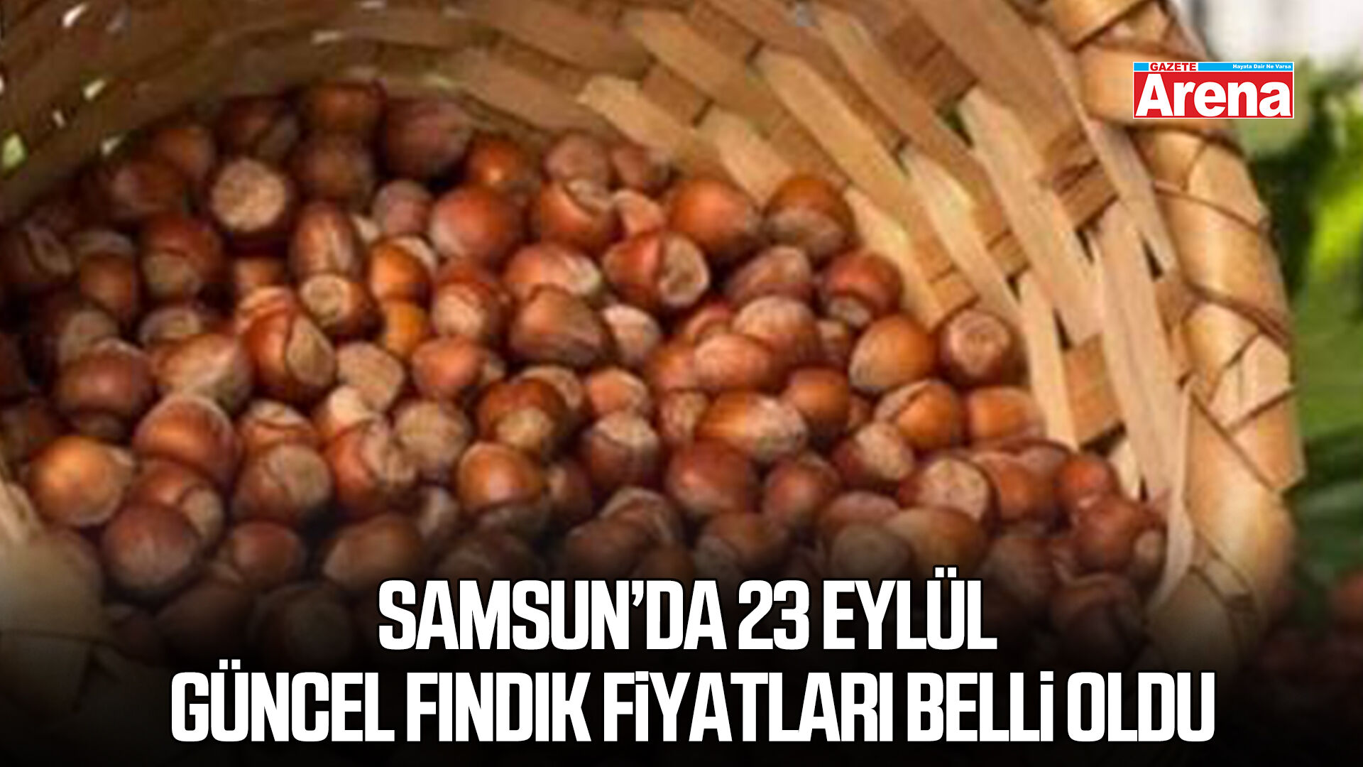 Samsun’da 23 Eylül güncel fındık fiyatları belli oldu