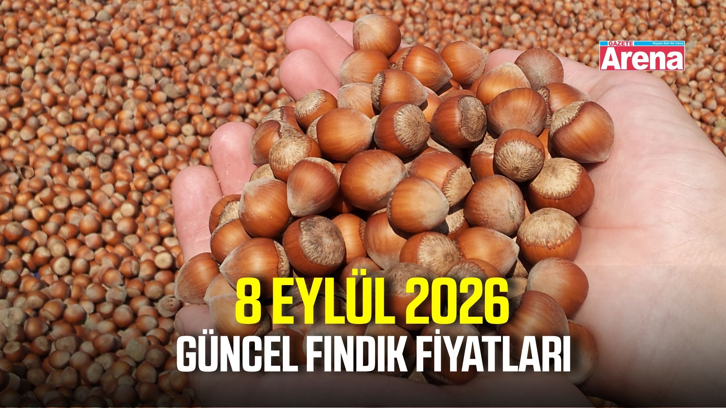 8 Eylül 2026 güncel fındık fiyatları