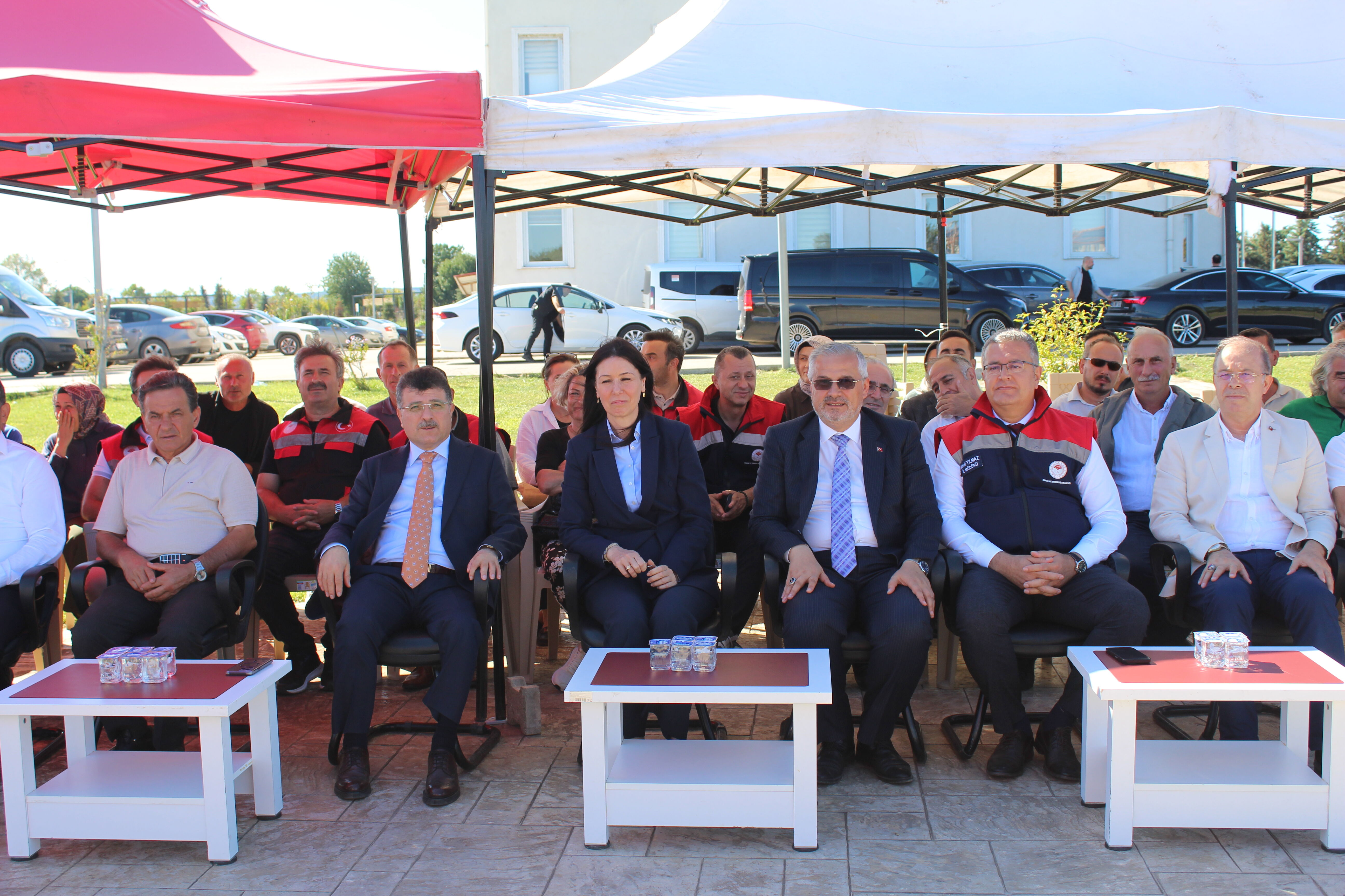 Bafra’da Kışlık Sebze Üretimi Için Fide Desteği