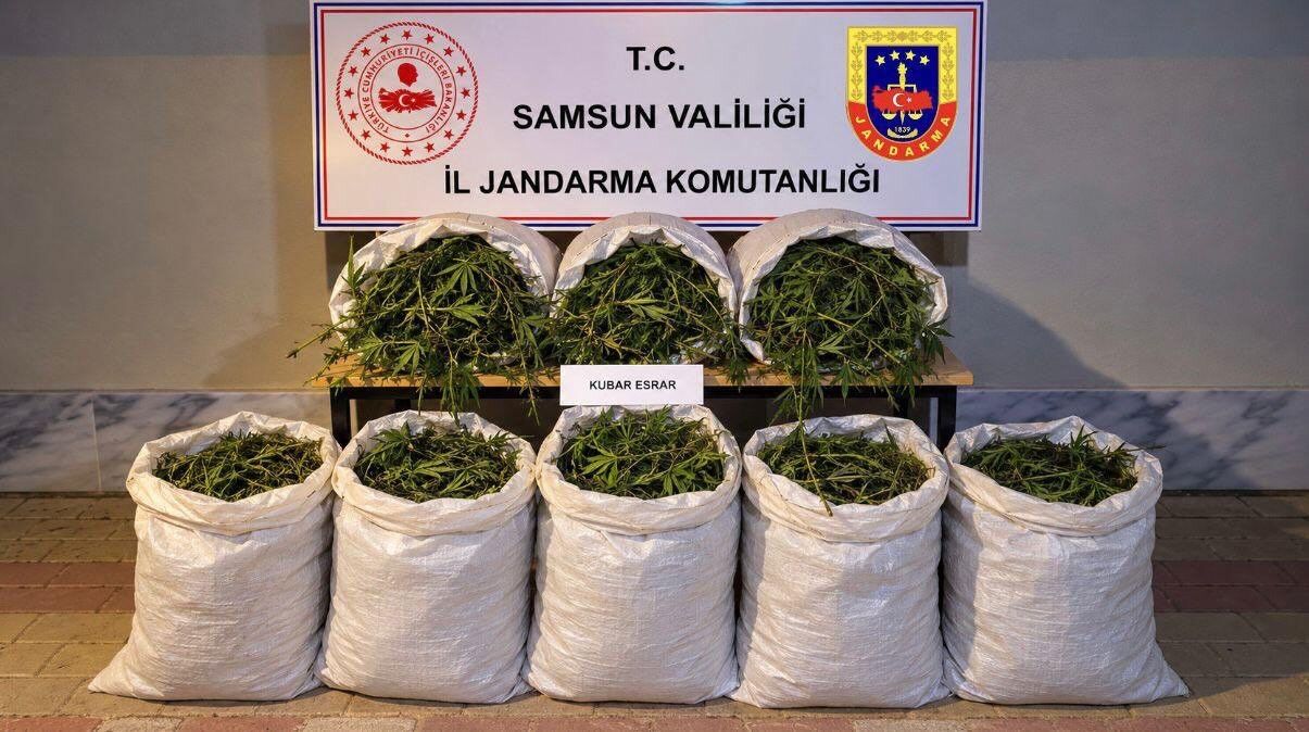 Bafra'da 63 Kilo Esrar Ele Geçirildi, Şüpheli Tutuklandı (3)