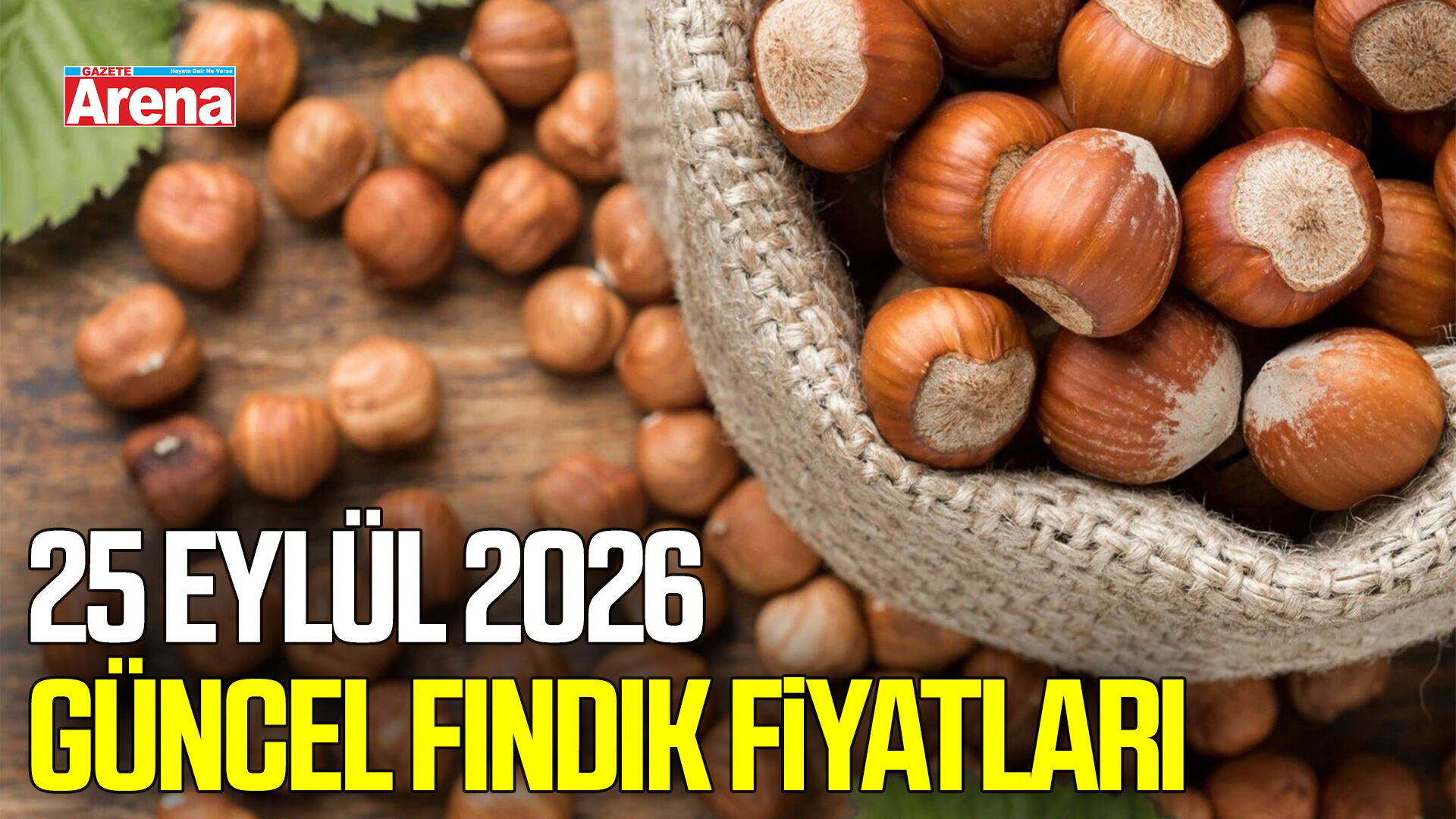 25 Eylül 2026 güncel fındık fiyatları