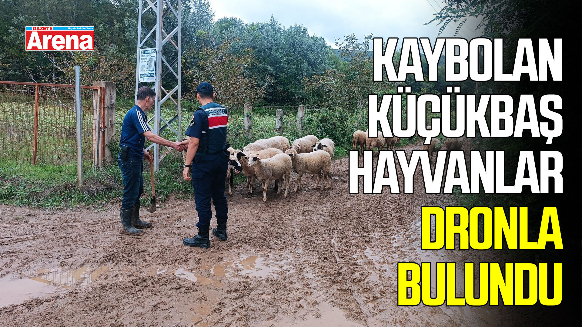 Samsun’da kaybolan küçükbaş hayvanlar dronla bulundu