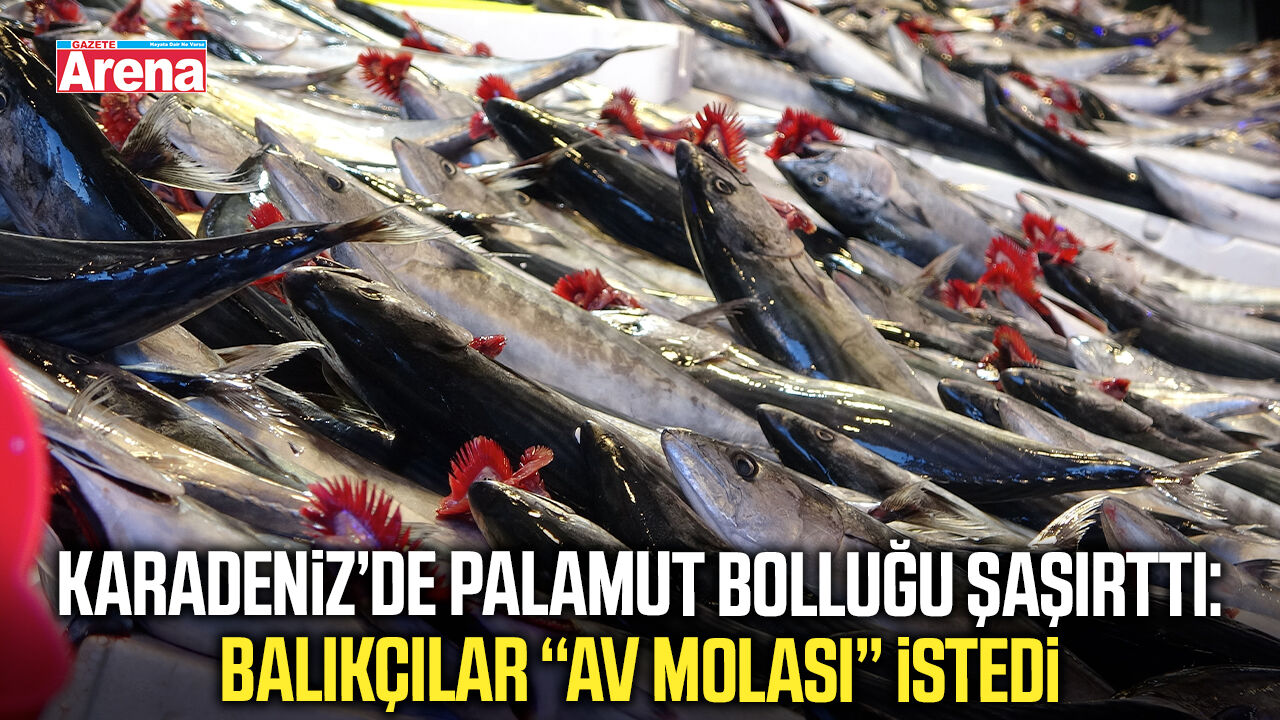 Karadeniz'de balıkçılar bol avlanan palamut için mola istiyor