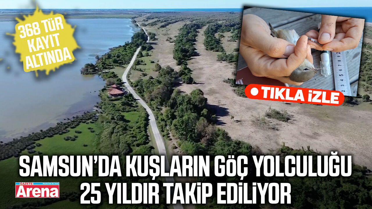 Samsun’da kuşların göç yolculuğu 25 yıldır takip ediliyor