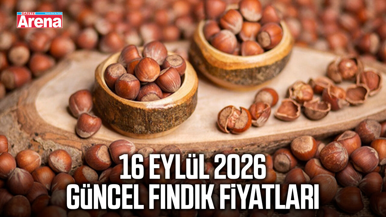 16 Eylül 2026 güncel fındık fiyatları